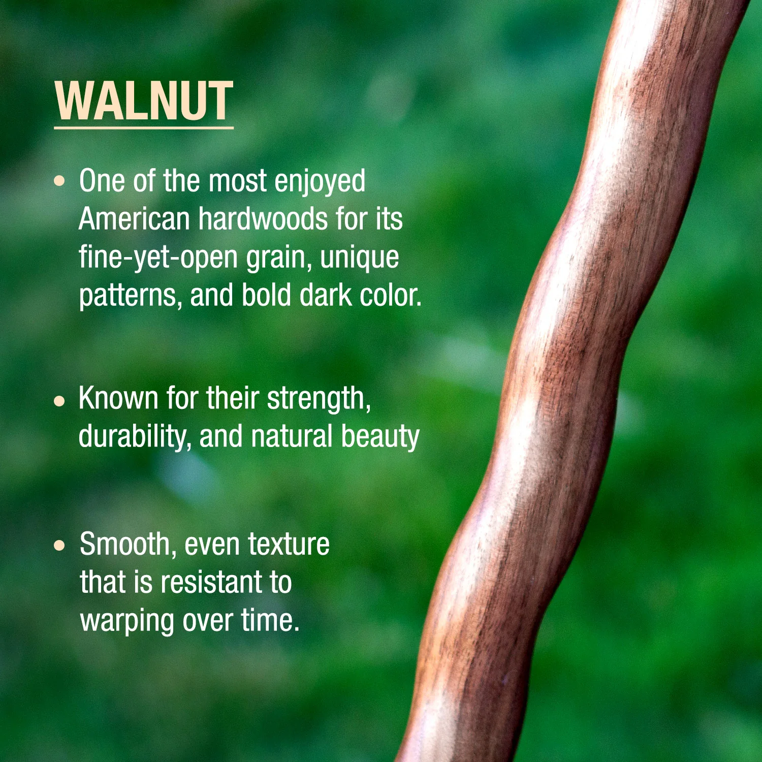 US Marine Veterans Handcrafted Walnut Walking Cane - Image 2